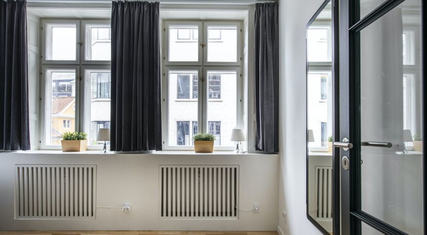 Photo of Silver Bear