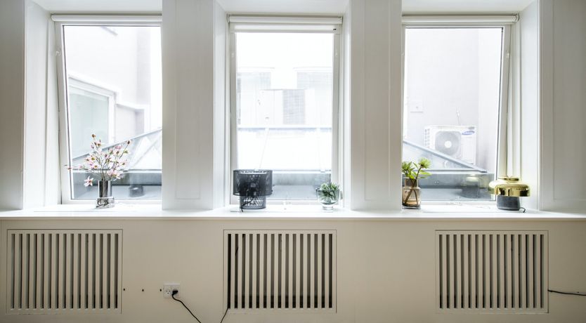 Photo of Silver Bear