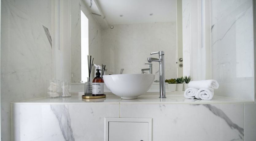 Photo of Silver Bear