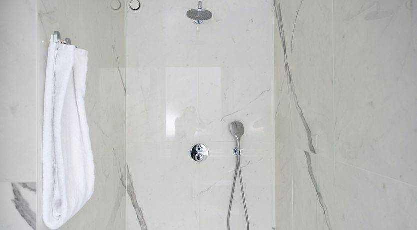 Photo of Silver Bear