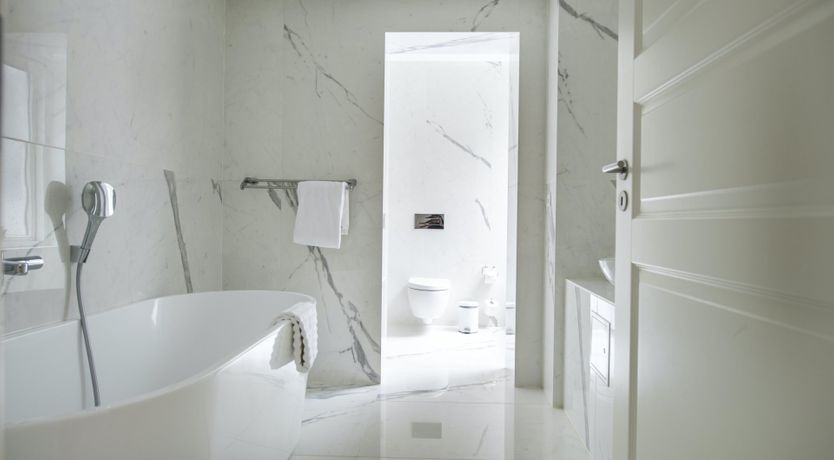 Photo of Silver Bear