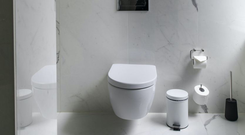 Photo of Silver Bear