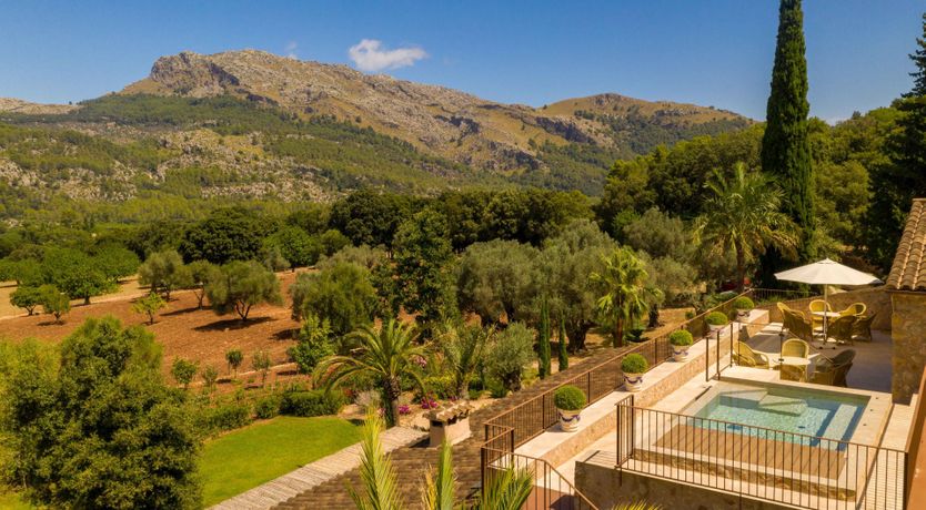 Photo of Hints Of Sage