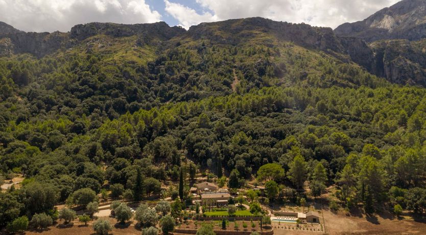 Photo of Hints Of Sage