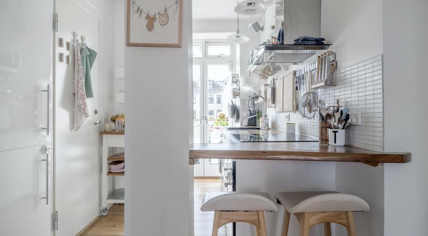 Photo of Under the Sea