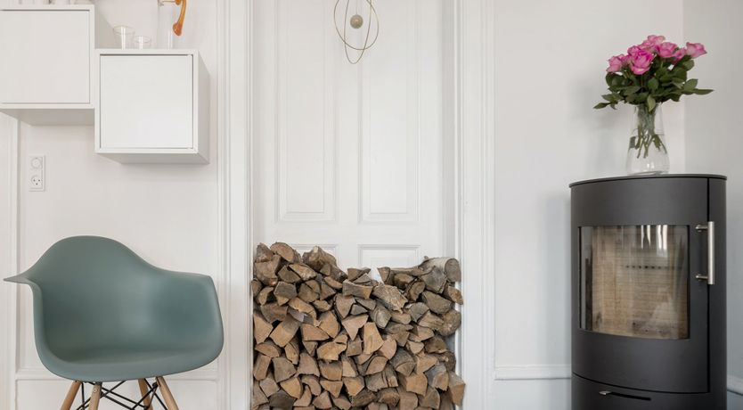 Photo of Under the Sea