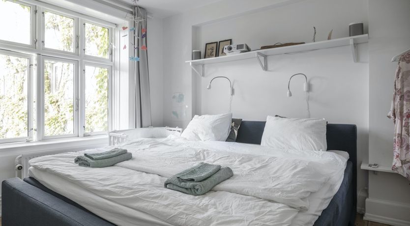 Photo of Under the Sea