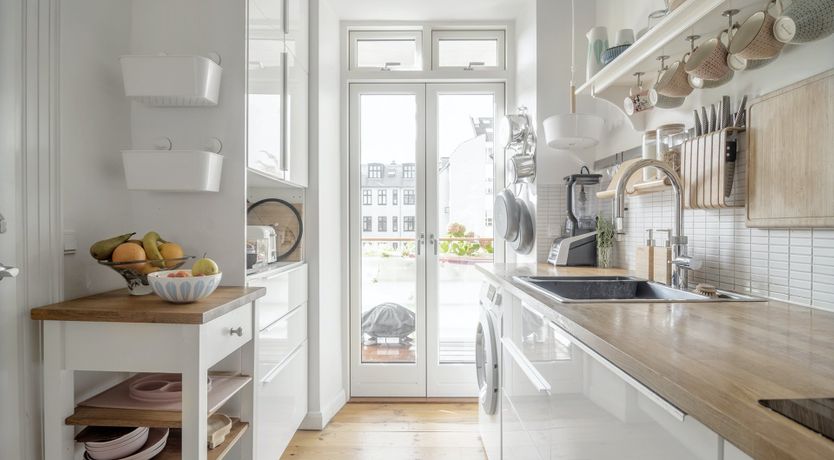 Photo of Under the Sea