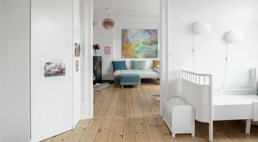 Photo of Under the Sea