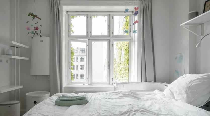 Photo of Under the Sea