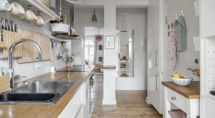 Photo of Under the Sea