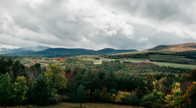 Photo of Autumnal Colours