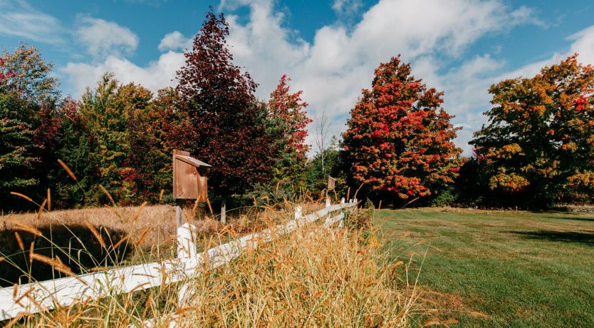 Photo of Autumnal Colours