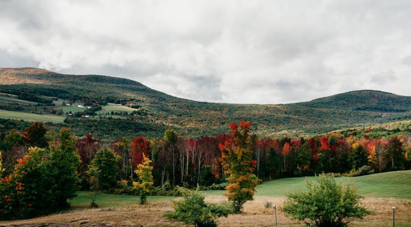 Photo of Autumnal Colours