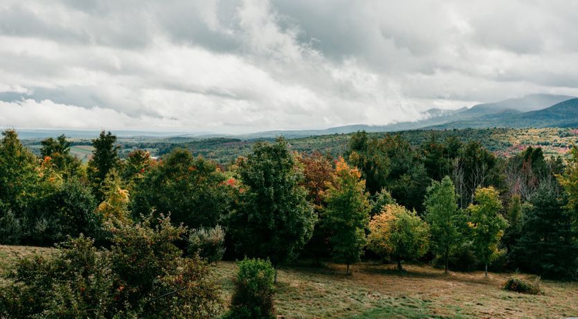 Photo of Autumnal Colours