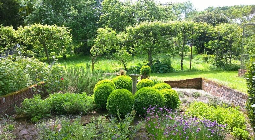 Photo of Cinnamon & Ginger