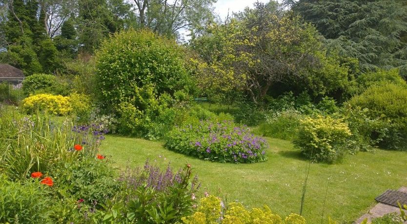 Photo of Cinnamon & Ginger