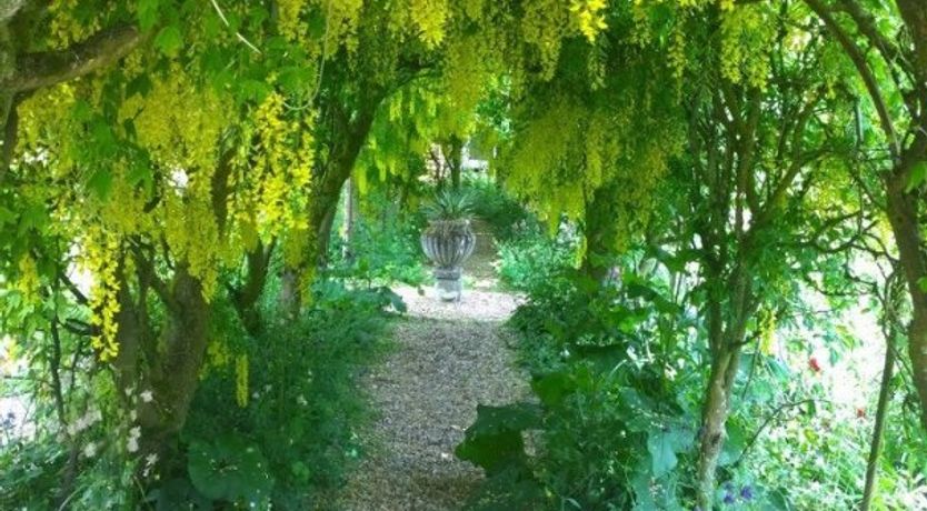 Photo of Cinnamon & Ginger