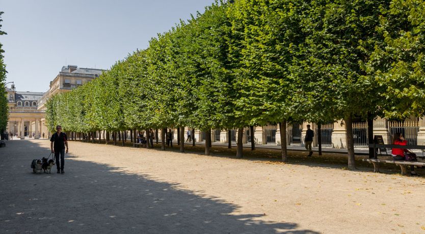 Photo of Etched in Gold