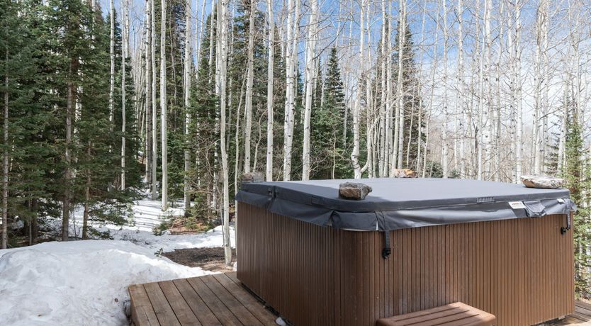 Photo of The Talk of Telluride