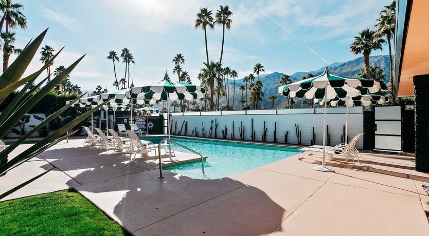 Photo of Tropical Leaves