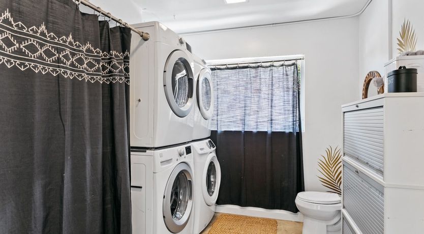 Photo of Tropical Leaves