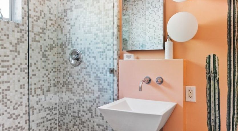 Photo of Tropical Leaves