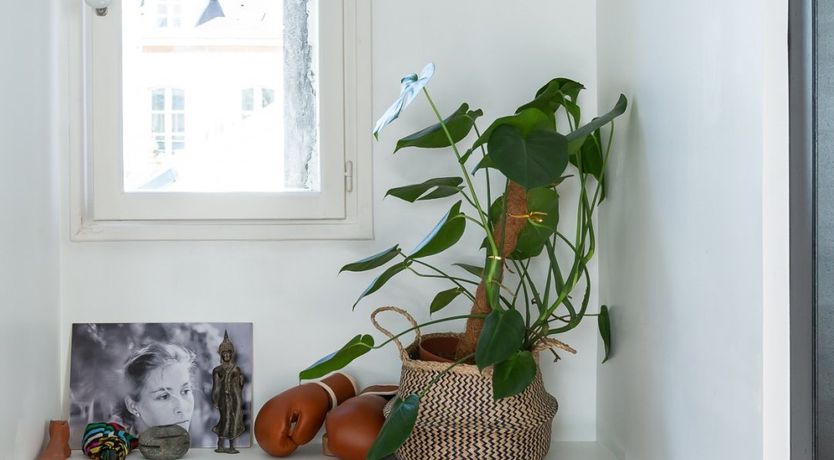 Photo of Halcyon Rest