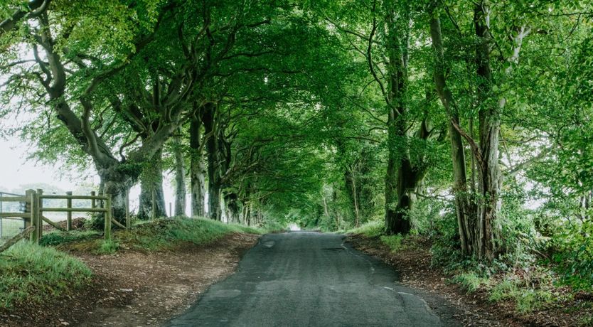 Photo of Second Nature