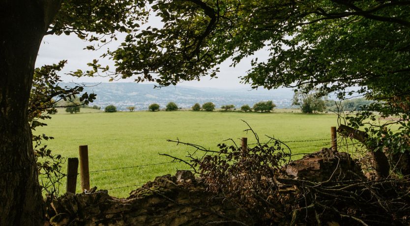 Photo of Second Nature