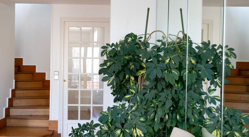 Photo of Smiling Cherub