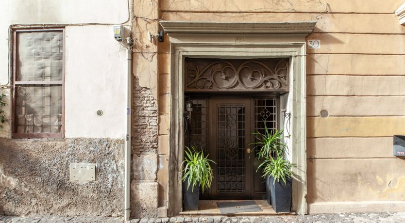 Photo of Single Leaf