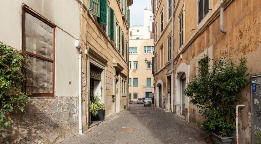 Photo of Single Leaf