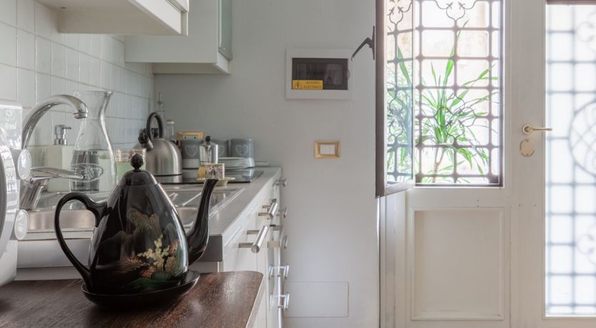 Photo of Single Leaf