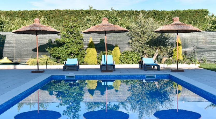 Photo of The Vine Lady