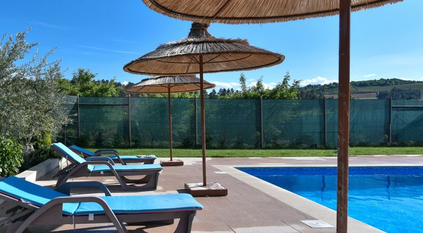 Photo of The Vine Lady