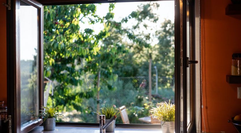 Photo of The Vine Lady