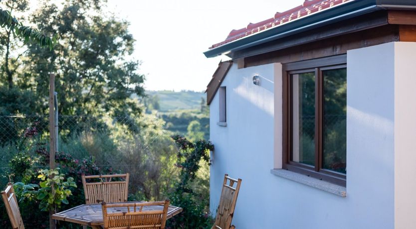 Photo of The Vine Lady