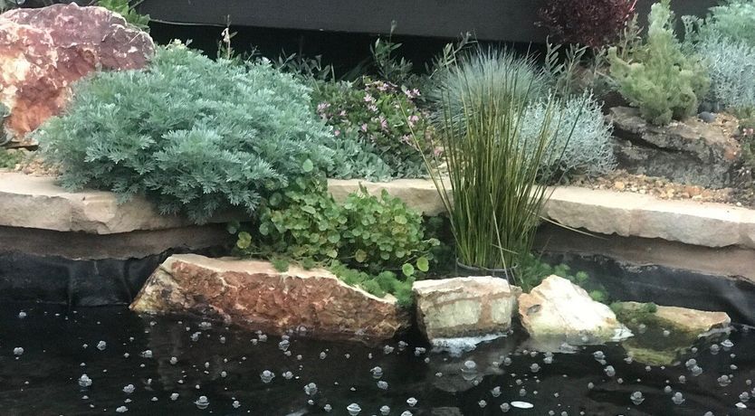 Photo of Silver Spring