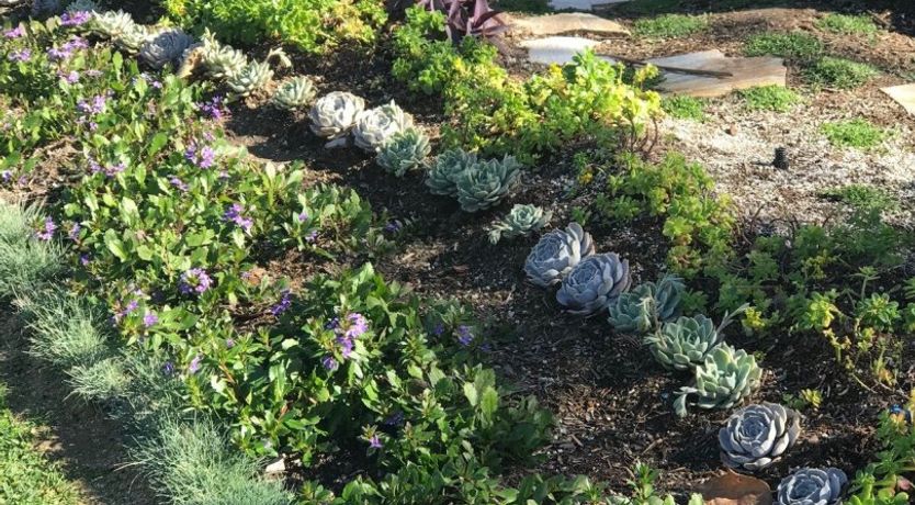 Photo of Silver Spring