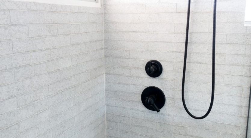 Photo of Desert Rose