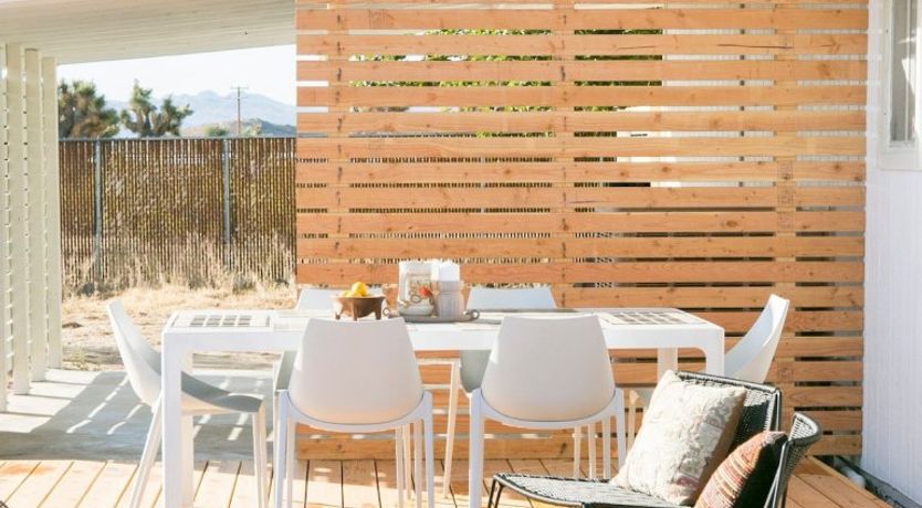 Photo of Desert Rose