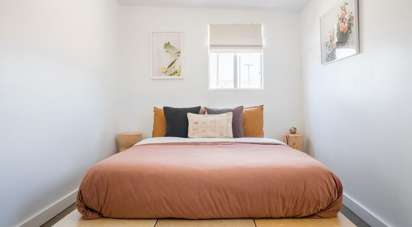 Photo of Desert Rose