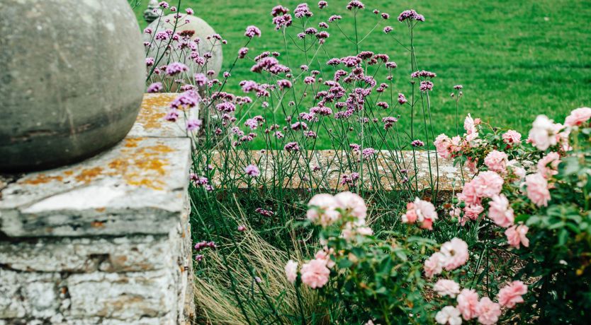 Photo of Gwen's Portrait
