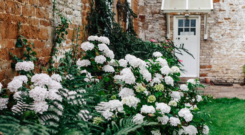 Photo of Gwen's Portrait