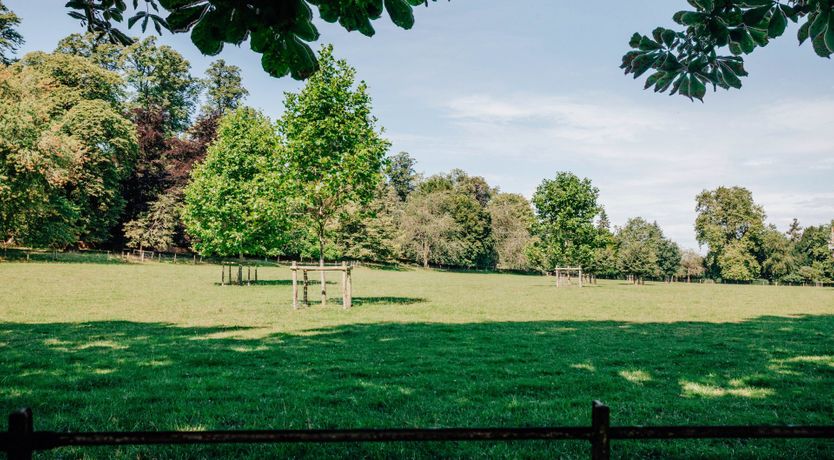 Photo of Gwen's Portrait