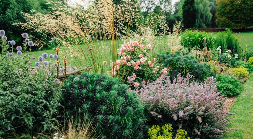 Photo of Gwen's Portrait