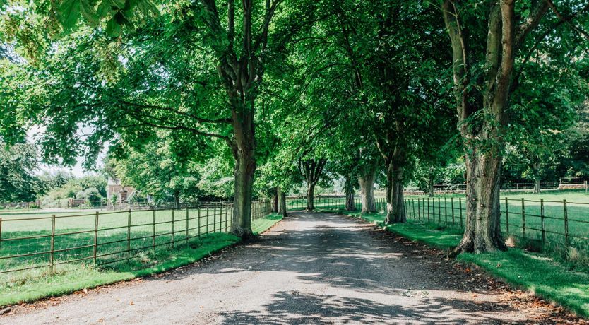 Photo of Gwen's Portrait