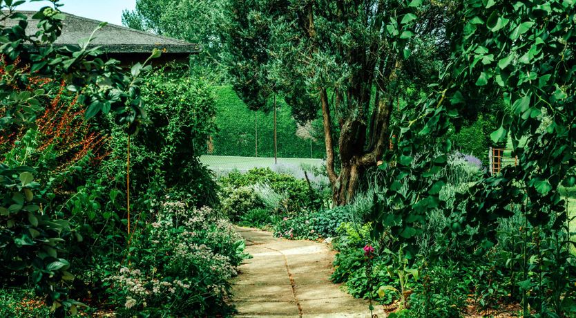 Photo of Gwen's Portrait