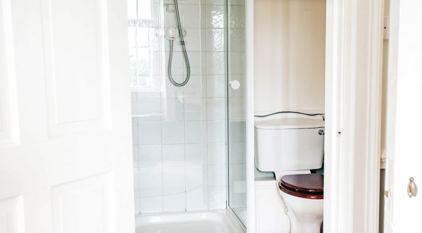 Photo of Gwen's Portrait